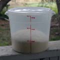 Dough beginning to rise