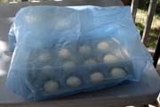 Rolls in rising bag